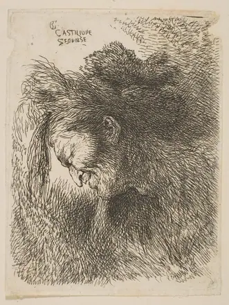 Head of an old man looking down, facing left, from "Small Studies of Heads in Oriental Headress" — Giovanni Benedetto Castiglione
