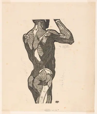 Anatomische studie van de rug- en bilspieren van een man, RP-P-1948-641D — Unknown artist