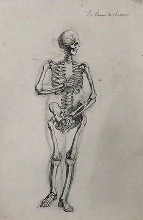 A skeleton in the pose of the Venus de' Medici. Pen and ink drawing. — Unknown artist