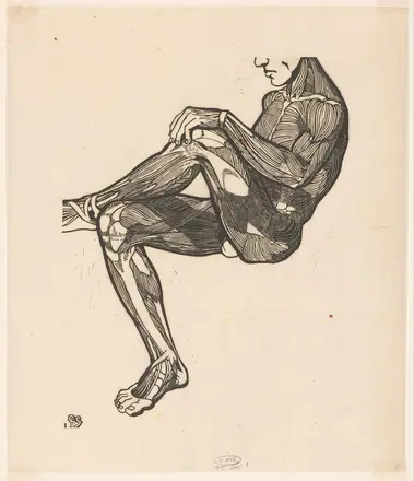 Anatomische studie van de been- en armspieren van een man, RP-P-1948-641E — Unknown artist