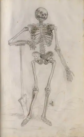 Seutter von Loetzen Skizzenbuch 10