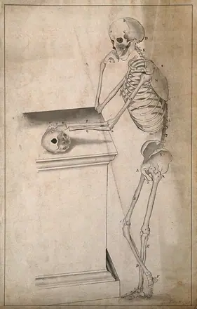 Standing skeleton, seen from the side, resting right elbow on a pedestal, with left hand resting on a skull. Pen and ink wash drawing by J. Mallcott after A. Vesalius, 1796.