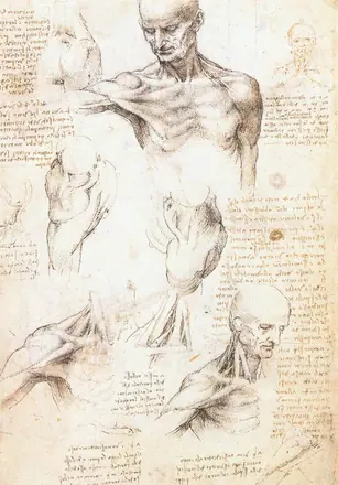 Leonardo da vinci, studi anatomici 1509-1510 — Leonardo da Vinci