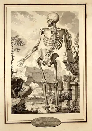 An anatomical figure (skeleton) in a classical landscape. Drawing by A. Joron. — Augustin Joron