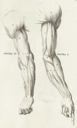Genga 13 cropped