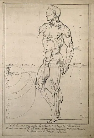 An écorché, seen from the front, with proportions marked, and (left) cranium and cervical vertebrae, with proportions of body. Engraving by C. Paroli, after a drawing by Michelangelo, 1760-1770. — Michelangelo