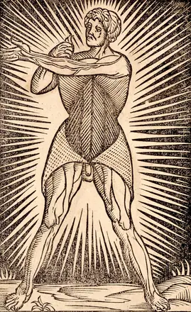 Anatomia Carpi 1535 a — Jacopo Berengario da Carpi