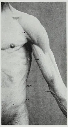 Braus 1921 163