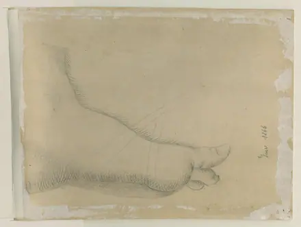 [PIEDI] Studie van een voet, objectno PK.OT.02392 — Unknown artist