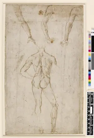 [SCHIENA] Raphael - Verso A standing male nude, seen from behind, and studies of arms, 1860,0616.94