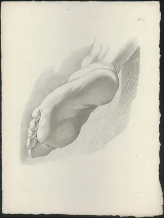 [PIEDI] Studie van een voet 1750-1800 barcode 910000211795 — Unknown artist