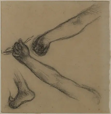 [PIEDI] Etude de bras et de pieds, DDUT1802