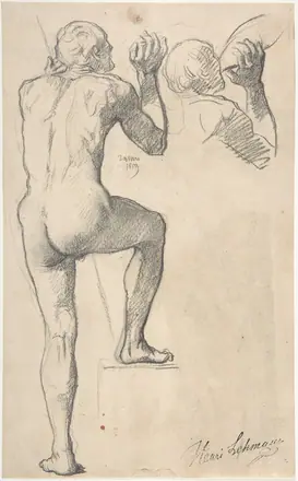 [SCHIENA] Back View of a Male Nude