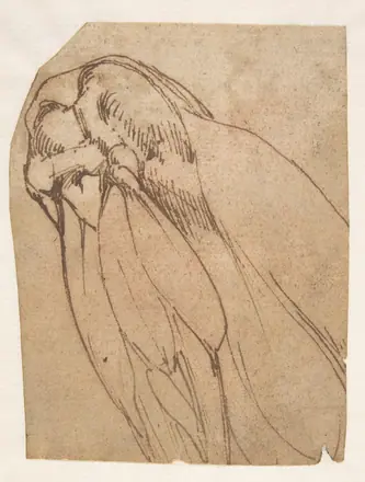 [PIEDI] Anatomical Study of a Knee — Michelangelo Buonarroti