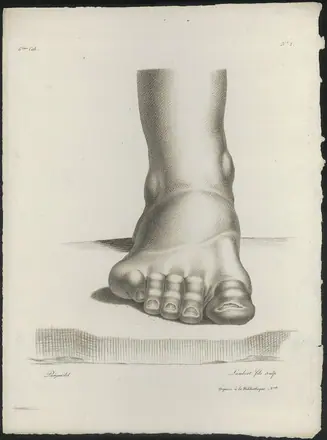 [PIEDI] Studie van een voet ca. 1740-1800 barcode 910000211903 — Unknown artist
