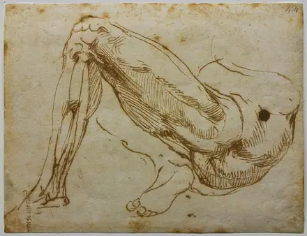 [PIEDI] Study of Legs by Michelangelo — Michelangelo