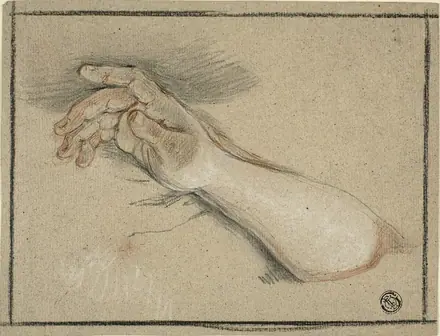 Hand and Forearm