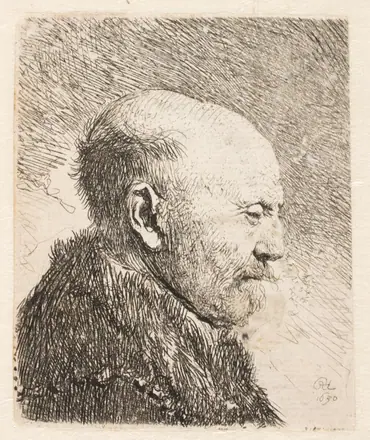 Skaldet mand i profil (Rembrandts fader?) — Rembrandt van Rijn