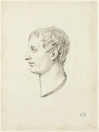 Profile of Napoleon