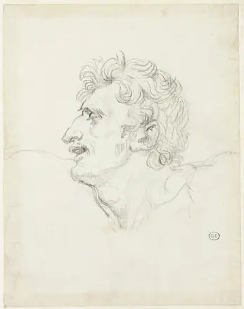 Head of a Man, Left Profile