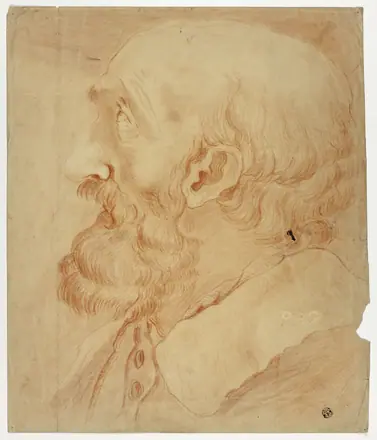 Head of Bearded Man in Profile — Unknown artist