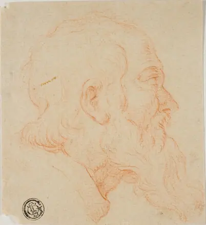 Head of Old Man in Profile to Right — Follower of Simone Cantarini