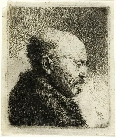 Bald Headed Man in Profile Right: The Artist's Father (?) — Rembrandt van Rijn