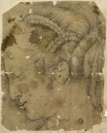 Female Head in Profile to Left