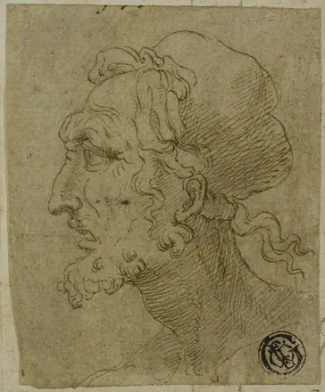 Male Head in Profile — Baldassare Peruzzi