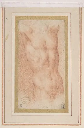 Male Nude Torso with Raised Arms — Parmigianino