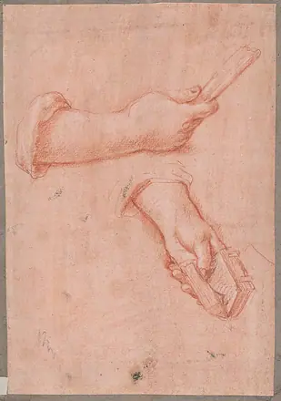 Study of Two Hands — Jacob de Wit