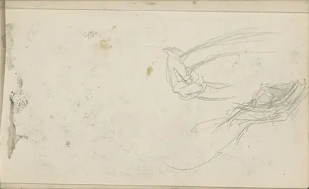 Hand met een tamboerijn, RP-T-1949-669-43 — Unknown artist