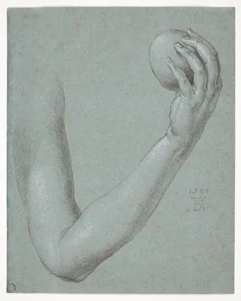 Arm of Eve — Albrecht Dürer