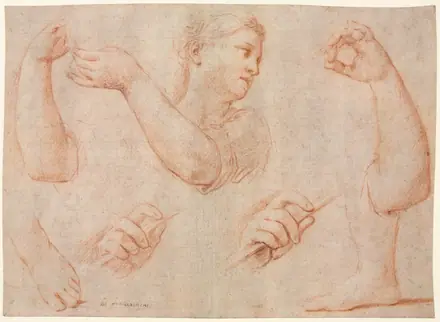 Study of a Young Woman Playing a Tambourine, and Studies of an Arm, Hands, and Feet (Studies for  "Miriam Leading the Chorus of Women Who Give Thanks for the Routing of Pharoah" — Marcantonio Franceschini